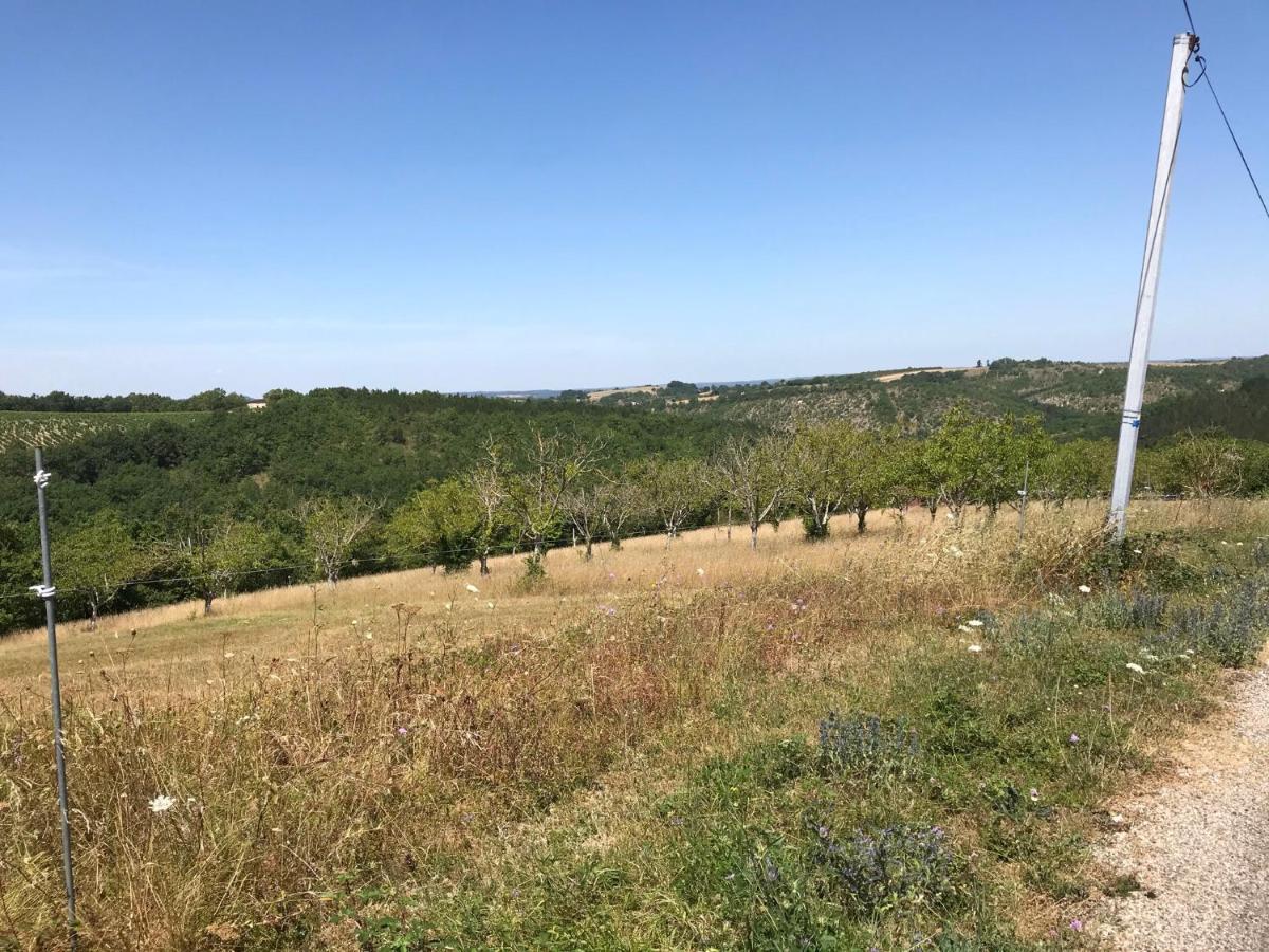 Natuur en stilte in een bijzondere omgeving Thézac Buitenkant foto
